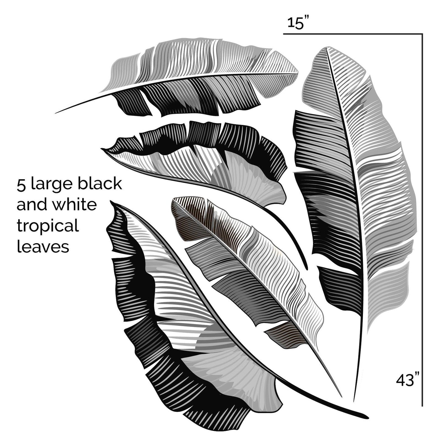 Black and White Banana Leaves Peel and Stick Wall Decals - Picture Perfect Decals