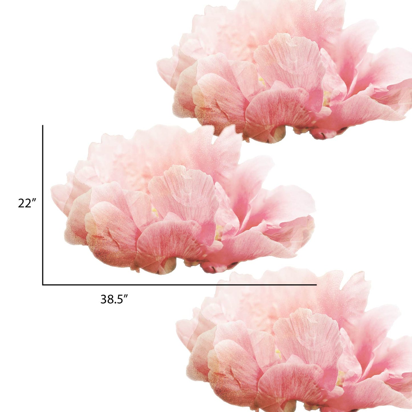Large Peonies Flower Decals | Set of three - Picture Perfect Decals